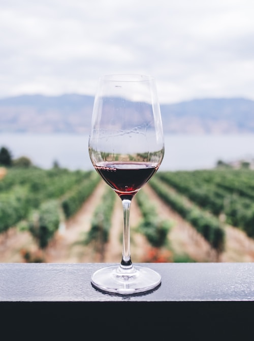 Calici di vino rosso in cantina