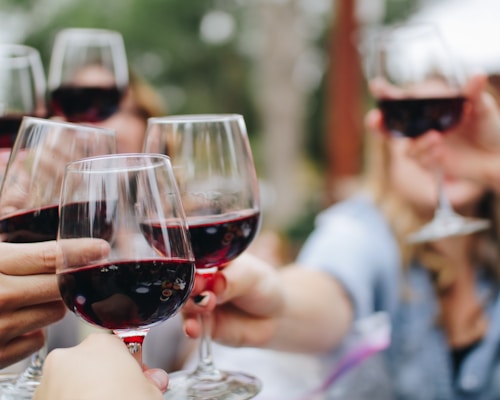 Degustazione di vini locali nel giardino