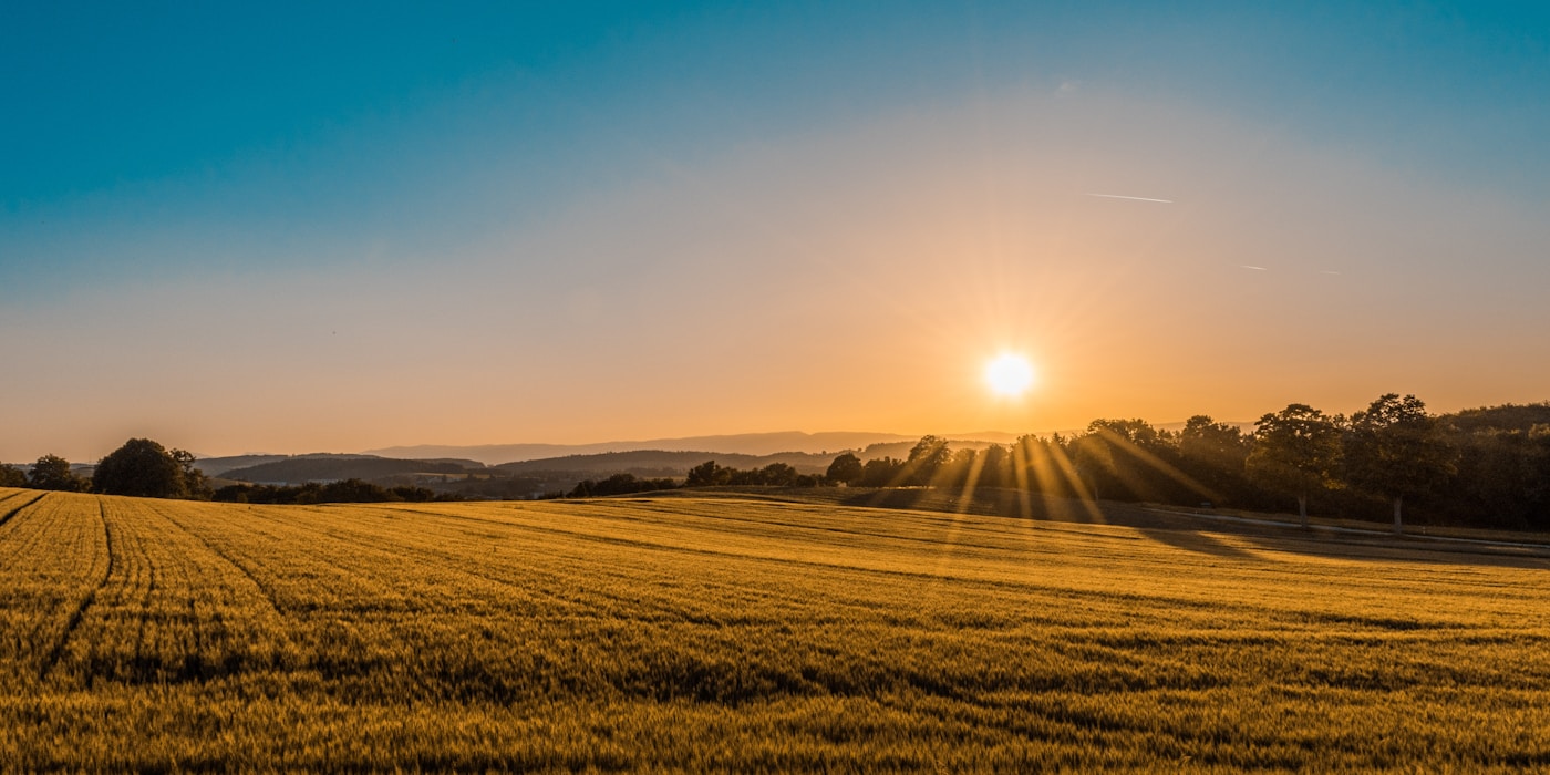 Vista aerea della campagna toscana con filari di cipressi