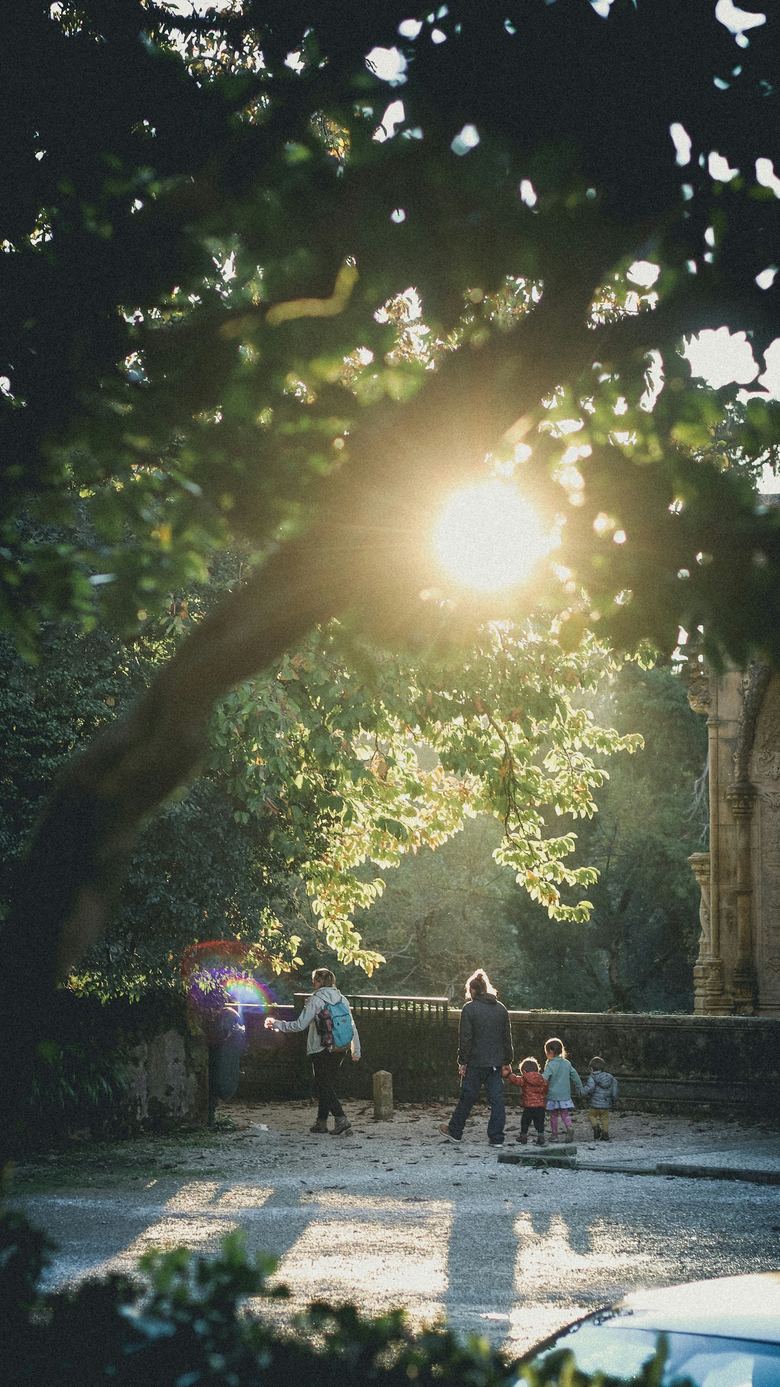 Famiglia che cammina insieme nella luce solare del parco