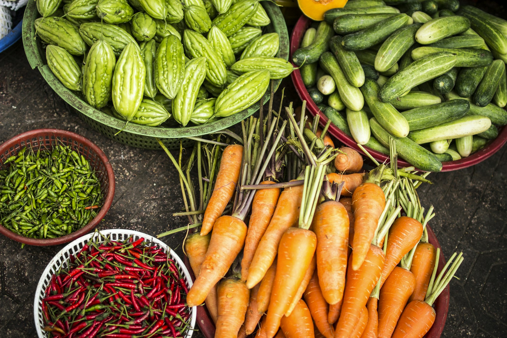 Orto con verdure fresche